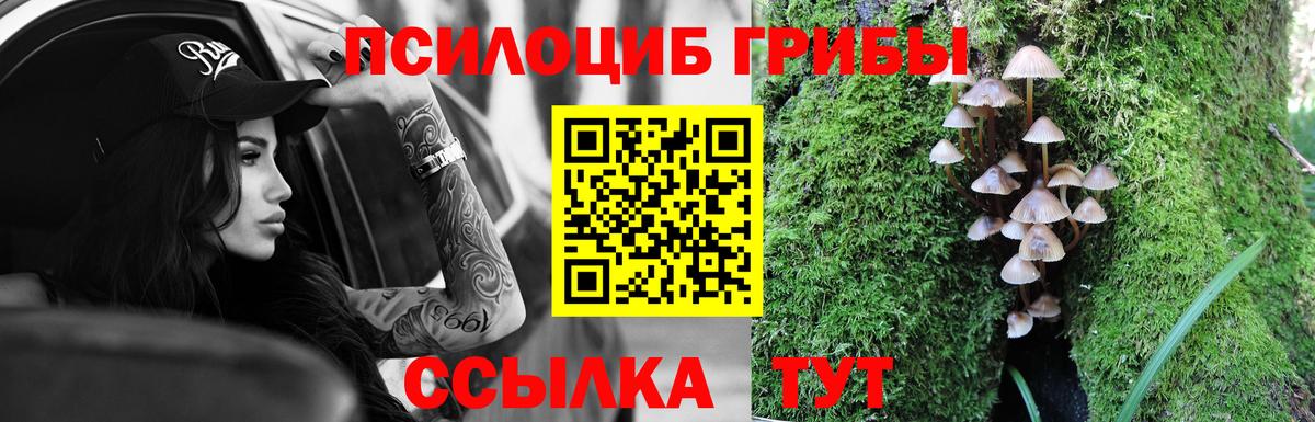 Галлюциногенные грибы прущие грибы Тавда