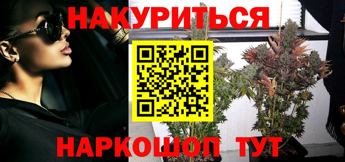 Марихуана гибрид Тавда